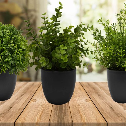 Λουλούδια-Φυτά