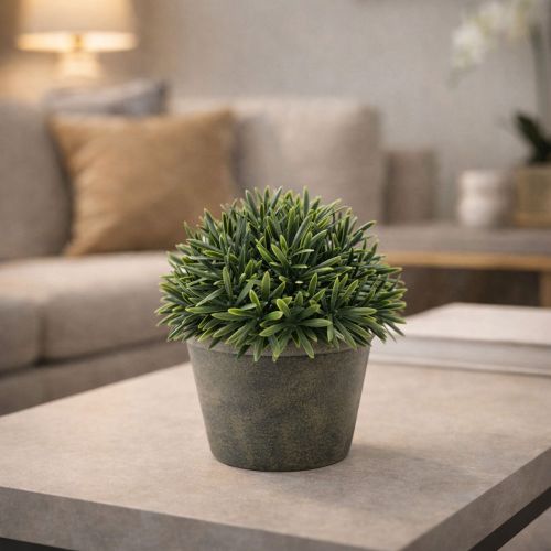 Λουλούδια-Φυτά