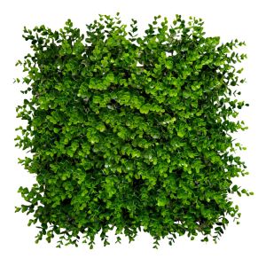 ΠΛΑΣΤΙΚΟ ΠΑΝΕΛ ΦΥΛΛΩΣΙΑΣ 50x50x7εκ. ANKOR