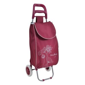 ΚΑΡΟΤΣΙ ΛΑΪΚΗΣ ΜΕΤΑΛΛΙΚΟ ΜΕ ΜΠΟΡΝΤΟ ΣΑΚΟ ΚΑΙ ΣΧΕΔΙΟ ΛΩΤΟΥΣ 35x27x94εκ. ANKOR