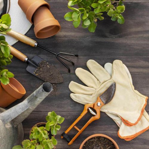 Εργαλεία Κηπουρικής